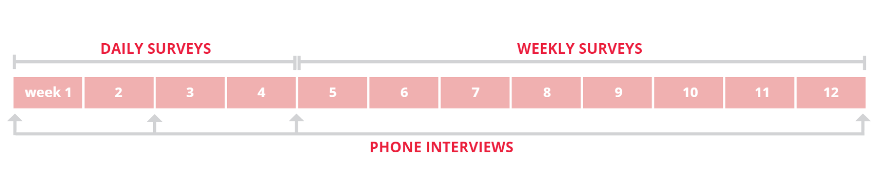 An infographic conveying the schedule for study participants. Surveys will be collected daily for the first 4 weeks of the 12-week study, and then weekly for the remaining 8 weeks. Phone interviews will be conducted at the beginning of the study, and again after the second, fourth, and twelfth weeks.